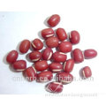 Dried Red bean,Rice bean,Ricebean,Phaseolus bean,Adsuki bean,Semen phaseoli,Vigna umbellata,Phaseolus anagularis,Chi dou,Food